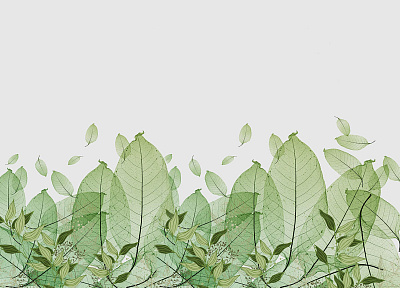 Фотообои GreenDay 7, GREENDAY, Wall street