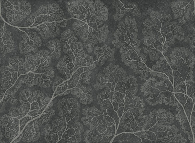 Фотообои CROWNS 9, SIESTA, Factura