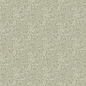 205003 205003