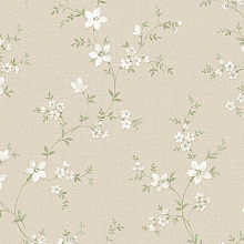 Обои с цветами Alessandro Allori Bruni 1001-2 RBN