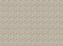 Factura ERBA ORTICA ERBA ORTICA 6